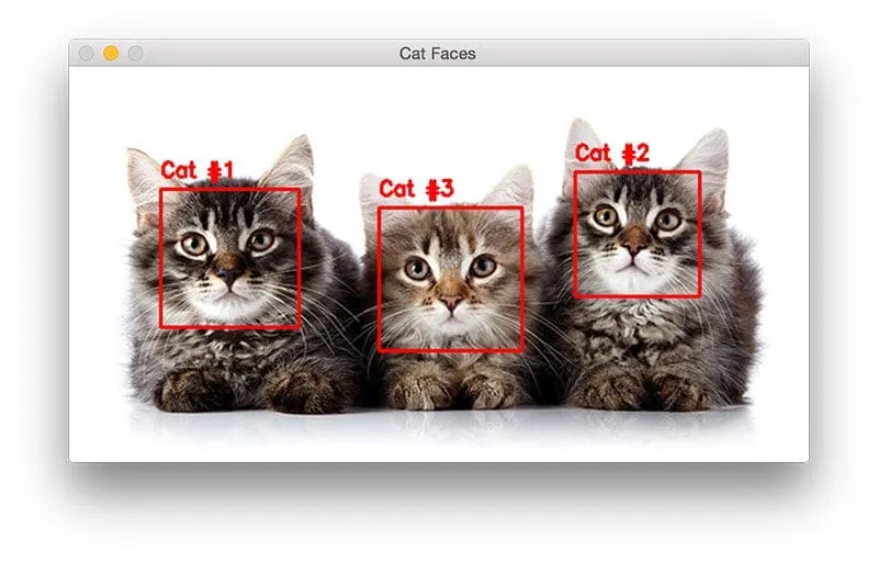 Face Detection Application